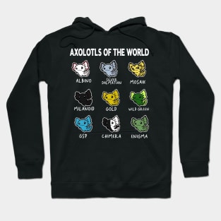 Axolotls Of The World | Types Of Axolotl Hoodie